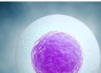 去泰国试管价格，附试管流程怎么样？