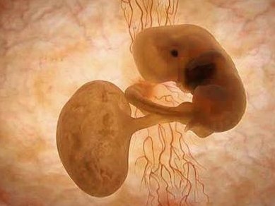 浙江试管助孕生子费用与医院选择详解，专家推荐与最新条件速递