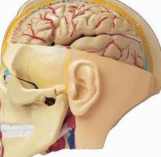 亳州三大助孕机构都有哪些？