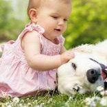 郑州试管技术前沿：三家医院领航，胚胎挑选不再是难题