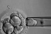 试管婴儿取精遇难题？原因解析与应对策略一网打尽